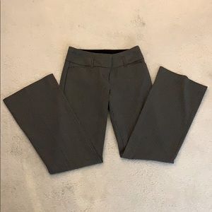 Express Dress Pants